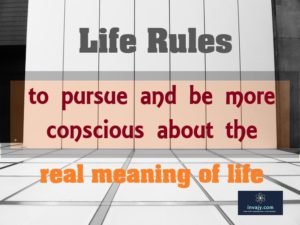 Life rules and life meaning