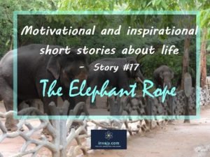 motivational story Elephant Rope