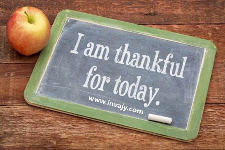 How gratitude can change your life ?