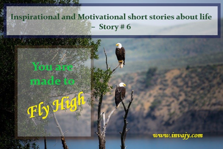 Inspirational and Motivational short story about life – You are made to Fly High (Story # 6)