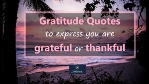 111 Gratitude Quotes To Express You Are Grateful Or Thankful