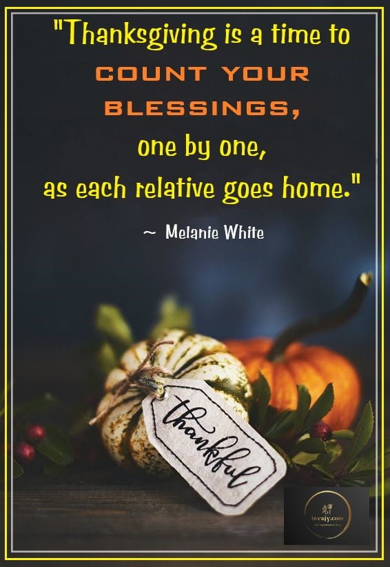 101 Thanksgiving Quotes to Express Your Gratitude in 2024