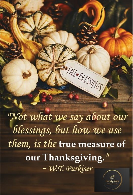 101 Thanksgiving Quotes to Express Your Gratitude in 2024