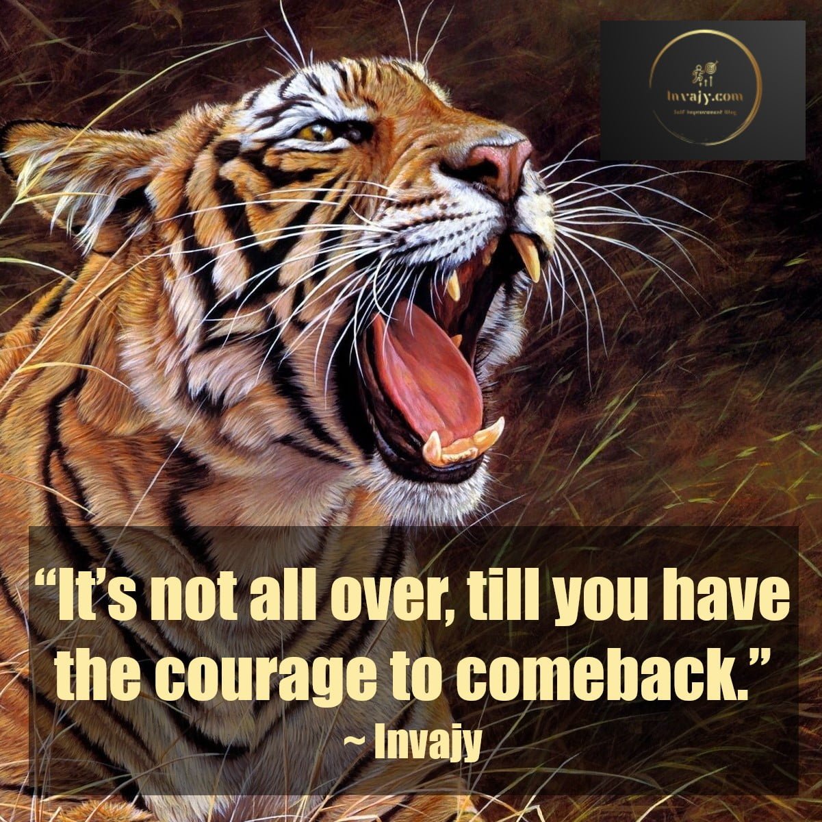 105 Comeback Quotes To Help You Bounce Back After Set Backs